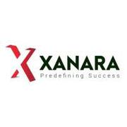 Wealth Management Companies UAE | Xanara